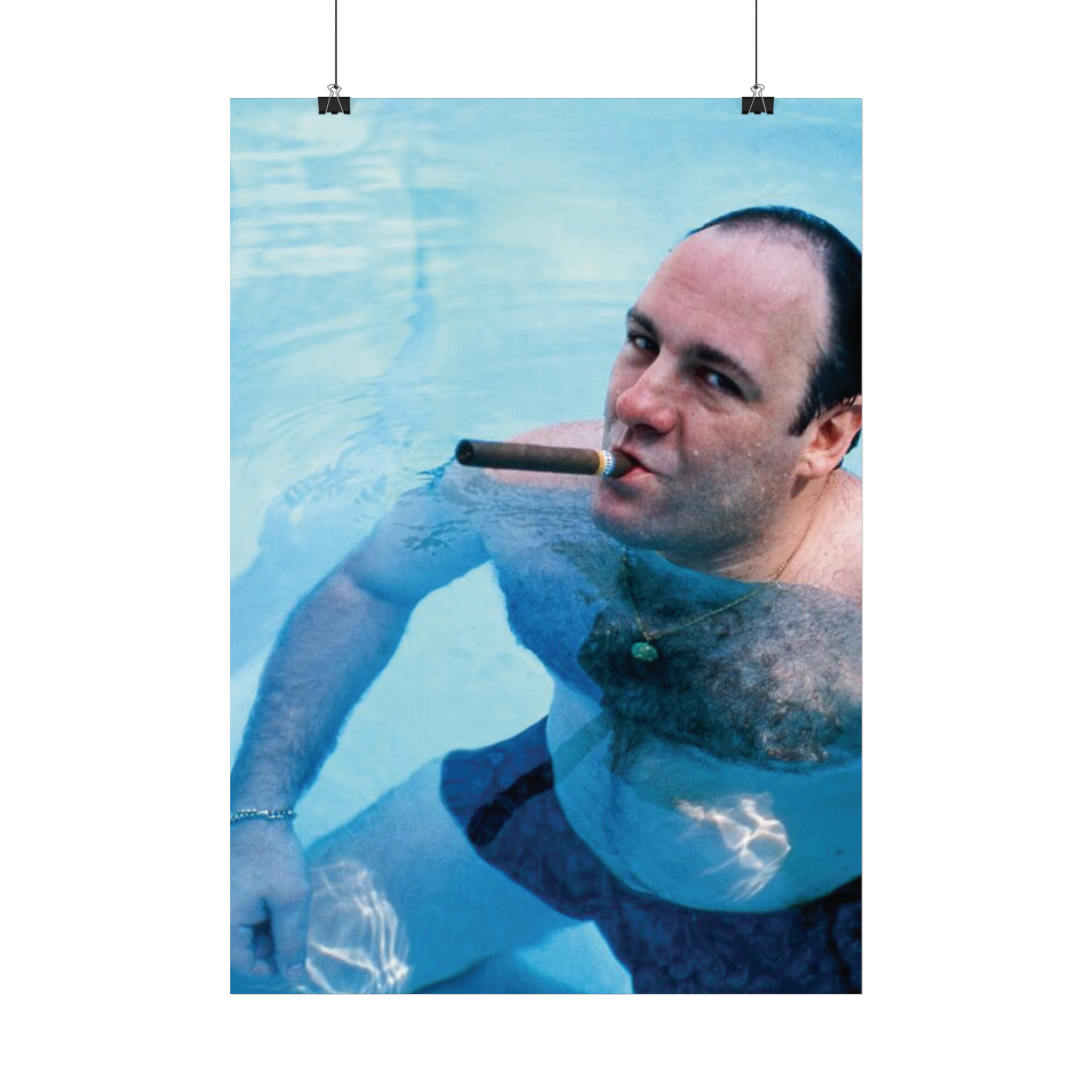 TONY SOPRANO POOL POSTER - VERSA