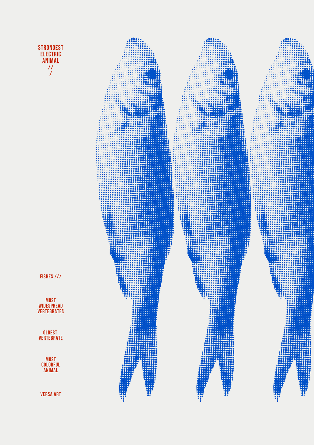 FISHES POSTER - VERSA